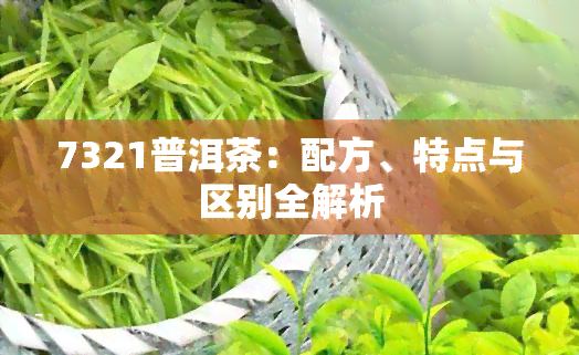 7321普洱茶：配方、特点与区别全解析