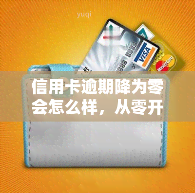 信用卡逾期降为零会怎么样，从零开始：信用卡逾期降至零的策略与步骤