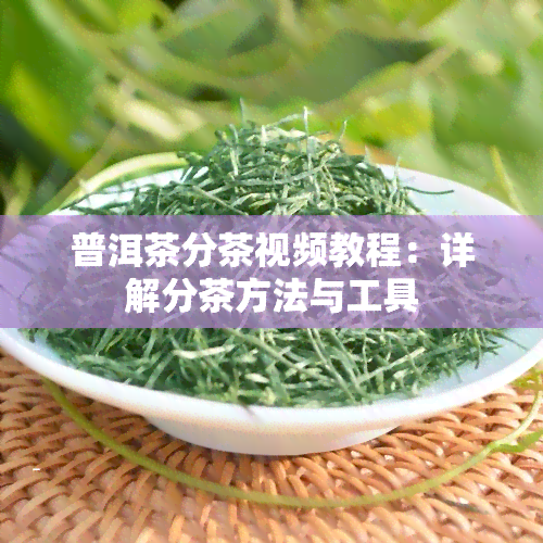 普洱茶分茶视频教程：详解分茶方法与工具