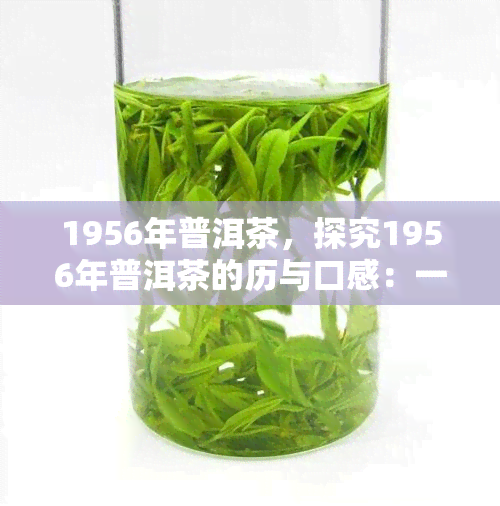 1956年普洱茶，探究1956年普洱茶的历与口感：一独特的茶叶旅程