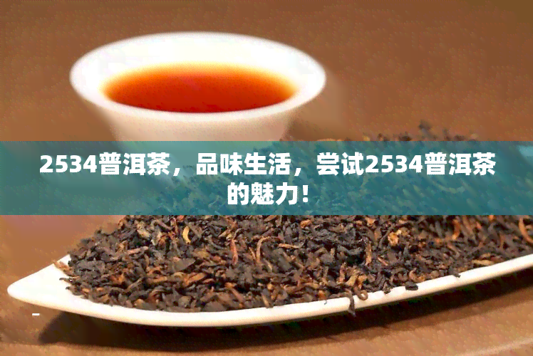 2534普洱茶，品味生活，尝试2534普洱茶的魅力！