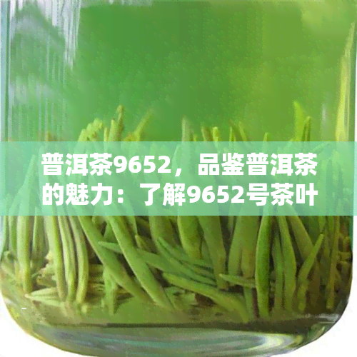 普洱茶9652，品鉴普洱茶的魅力：了解9652号茶叶的特性和口感