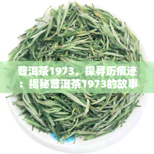 普洱茶1973，探寻历痕迹：揭秘普洱茶1973的故事与风味