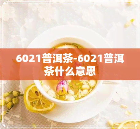 6021普洱茶-6021普洱茶什么意思