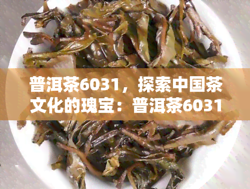 普洱茶6031，探索中国茶文化的瑰宝：普洱茶6031的起源、制作和品尝