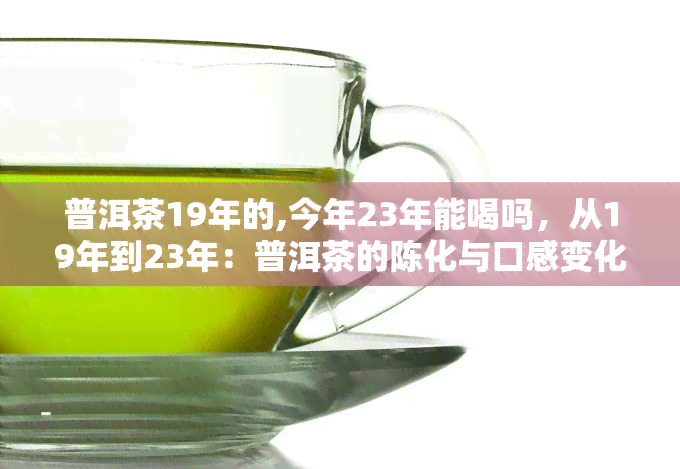 普洱茶19年的,今年23年能喝吗，从19年到23年：普洱茶的陈化与口感变化解析