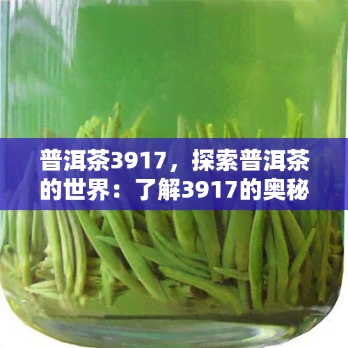 普洱茶3917，探索普洱茶的世界：了解3917的奥秘