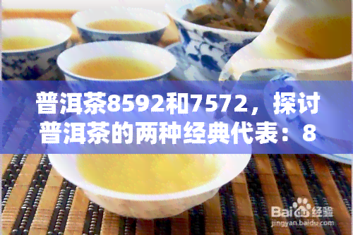 普洱茶8592和7572，探讨普洱茶的两种经典代表：8592与7572