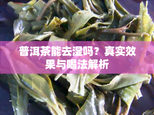 普洱茶能去湿吗？真实效果与喝法解析