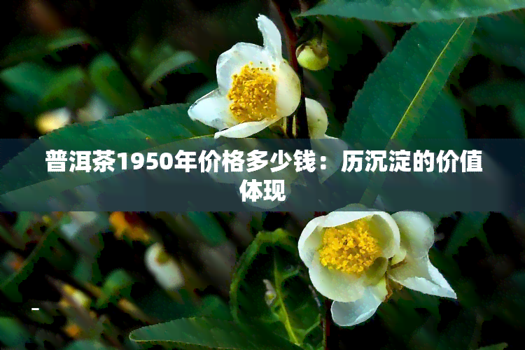 普洱茶1950年价格多少钱：历沉淀的价值体现