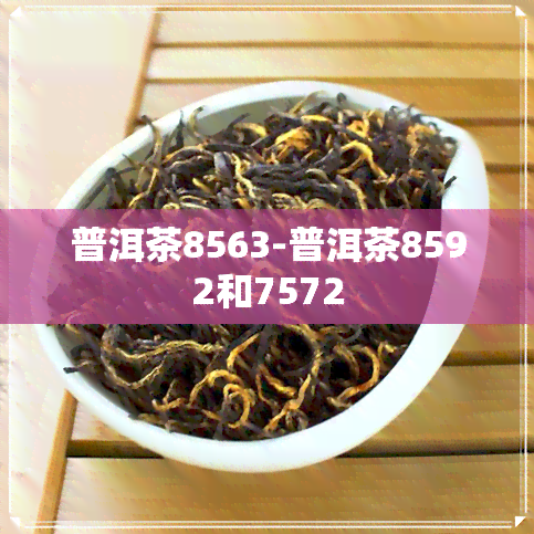 普洱茶8563-普洱茶8592和7572