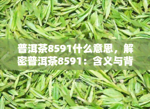 普洱茶8591什么意思，解密普洱茶8591：含义与背后的故事