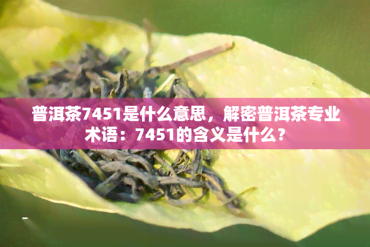 普洱茶7451是什么意思，解密普洱茶专业术语：7451的含义是什么？