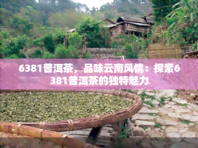 6381普洱茶，品味云南风情：探索6381普洱茶的独特魅力