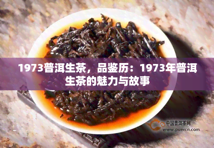 1973普洱生茶，品鉴历：1973年普洱生茶的魅力与故事