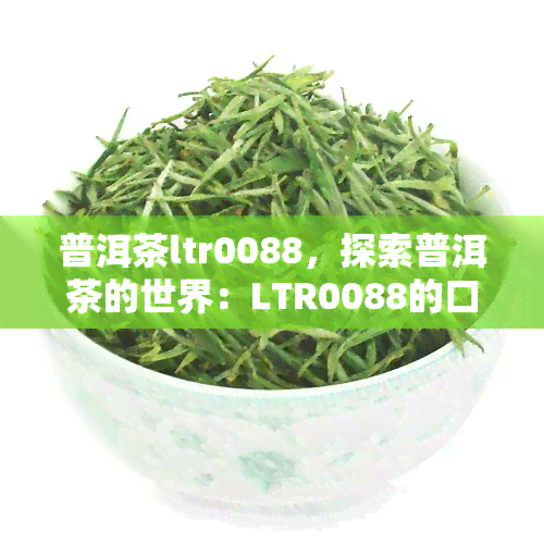 普洱茶ltr0088，探索普洱茶的世界：LTR0088的口感与历背景