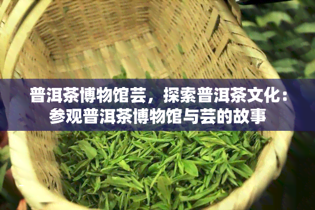 普洱茶博物馆芸，探索普洱茶文化：参观普洱茶博物馆与芸的故事