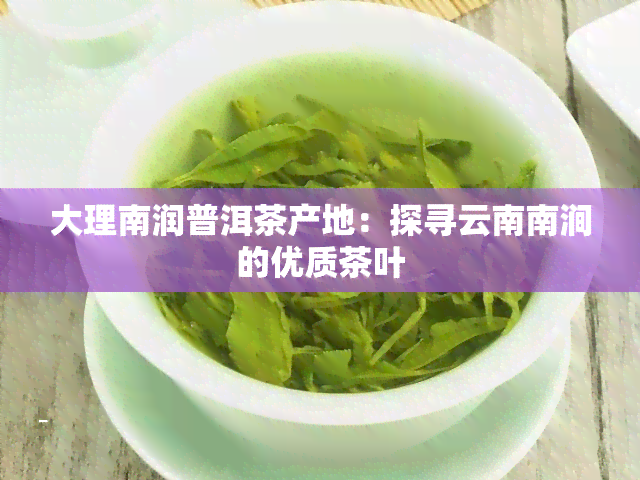 大理南润普洱茶产地：探寻云南南涧的优质茶叶