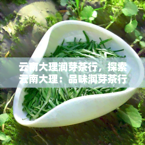 云南大理润芽茶行，探索云南大理：品味润芽茶行的清新滋味