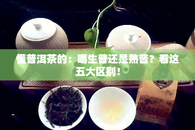 懂普洱茶的：喝生普还是熟普？看这五大区别！