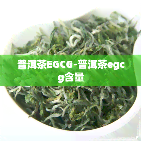 普洱茶EGCG-普洱茶egcg含量