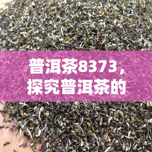 普洱茶8373，探究普洱茶的魅力：8373背后的秘密