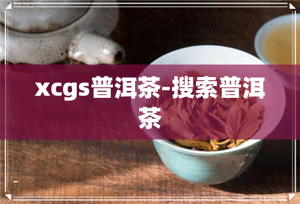 xcgs普洱茶-搜索普洱茶