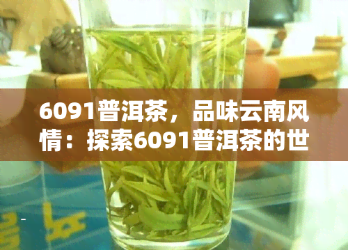 6091普洱茶，品味云南风情：探索6091普洱茶的世界