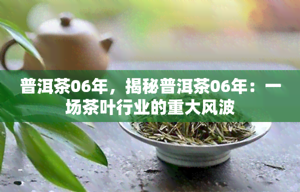 普洱茶06年，揭秘普洱茶06年：一场茶叶行业的重大风波