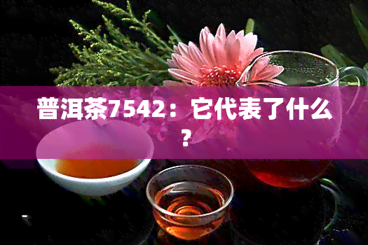 普洱茶7542：它代表了什么？