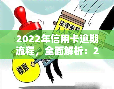 2022年信用卡逾期流程，全面解析：2022年信用卡逾期的处理流程