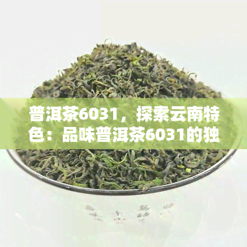 普洱茶6031，探索云南特色：品味普洱茶6031的独特魅力