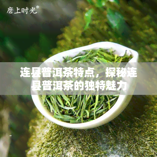 连县普洱茶特点，探秘连县普洱茶的独特魅力