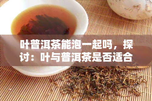 叶普洱茶能泡一起吗，探讨：叶与普洱茶是否适合一同冲泡？