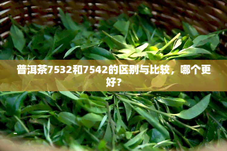 普洱茶7532和7542的区别与比较，哪个更好？