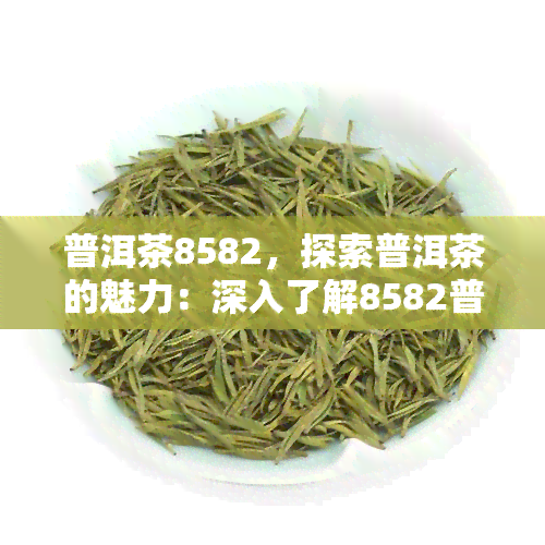 普洱茶8582，探索普洱茶的魅力：深入了解8582普洱茶的独特风味和历背景