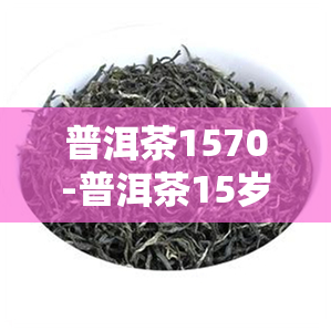 普洱茶1570-普洱茶15岁的孩子可以喝