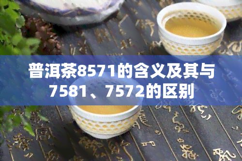 普洱茶8571的含义及其与7581、7572的区别