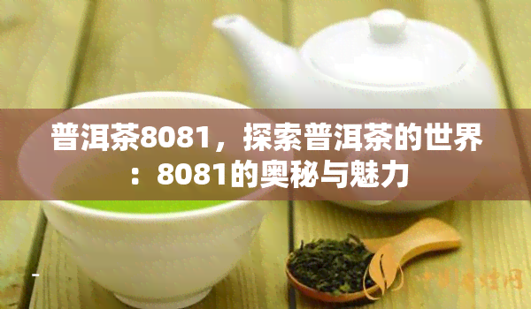 普洱茶8081，探索普洱茶的世界：8081的奥秘与魅力