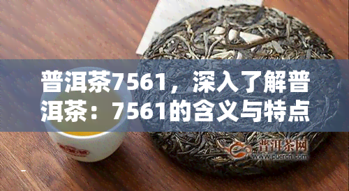 普洱茶7561，深入了解普洱茶：7561的含义与特点