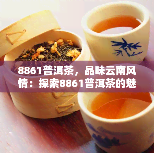 8861普洱茶，品味云南风情：探索8861普洱茶的魅力与历