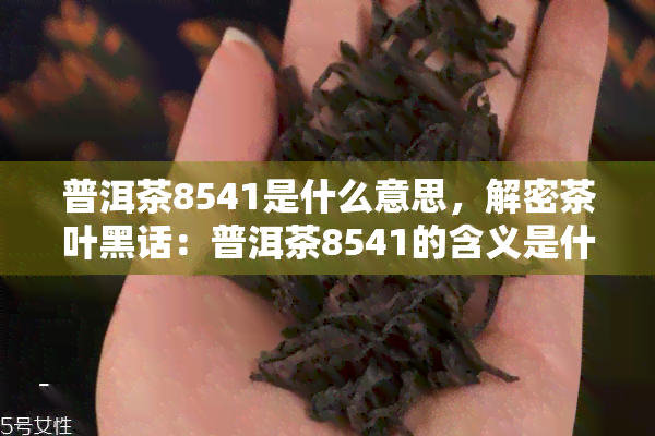 普洱茶8541是什么意思，解密茶叶黑话：普洱茶8541的含义是什么？