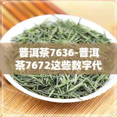 普洱茶7636-普洱茶7672这些数字代表什么