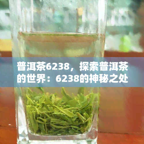 普洱茶6238，探索普洱茶的世界：6238的神秘之处