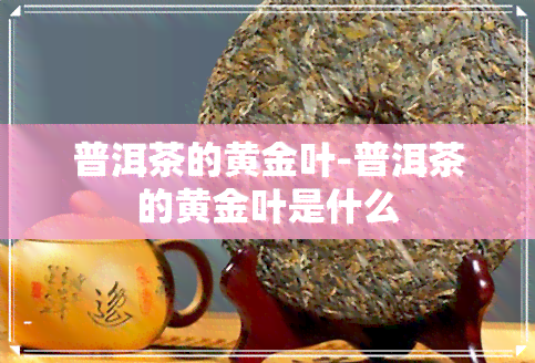 普洱茶的黄金叶-普洱茶的黄金叶是什么