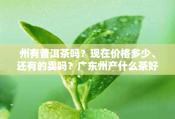 州有普洱茶吗？现在价格多少、还有的卖吗？广东州产什么茶好喝？