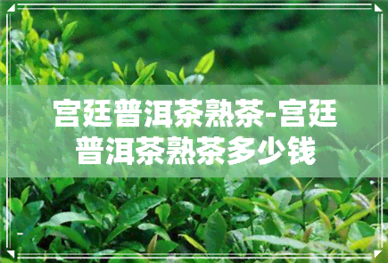 宫廷普洱茶熟茶-宫廷普洱茶熟茶多少钱