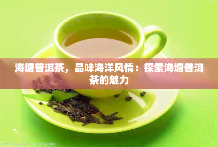 海塘普洱茶，品味海洋风情：探索海塘普洱茶的魅力