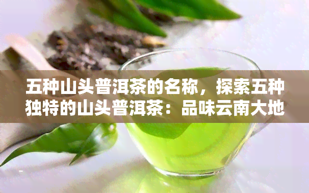 五种山头普洱茶的名称，探索五种独特的山头普洱茶：品味云南大地的宝藏