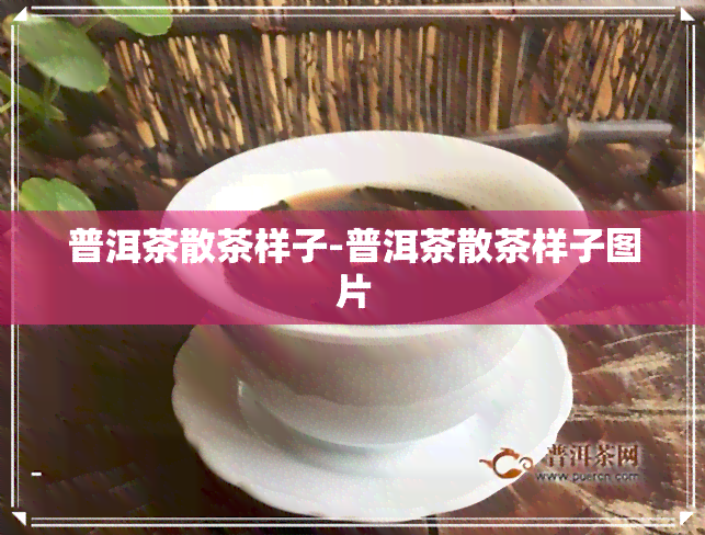 普洱茶散茶样子-普洱茶散茶样子图片